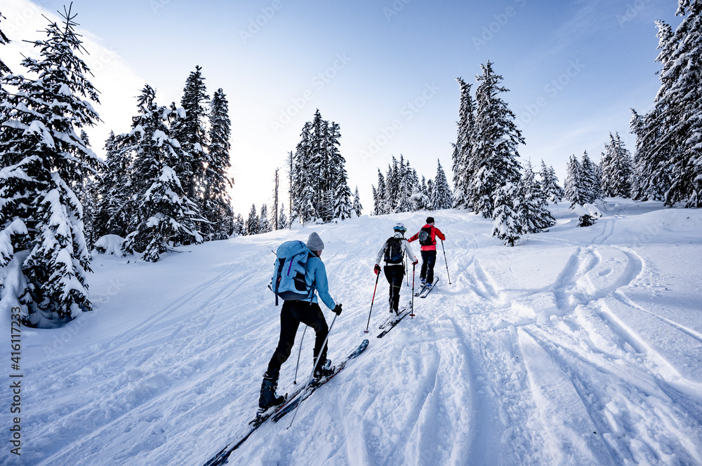 Mountaineer backcountry ski waling in the mountains. Ski touring in high alpine landscape with snowy trees. Adventure winter extreme sport. - obrazy, fototapety, plakaty 