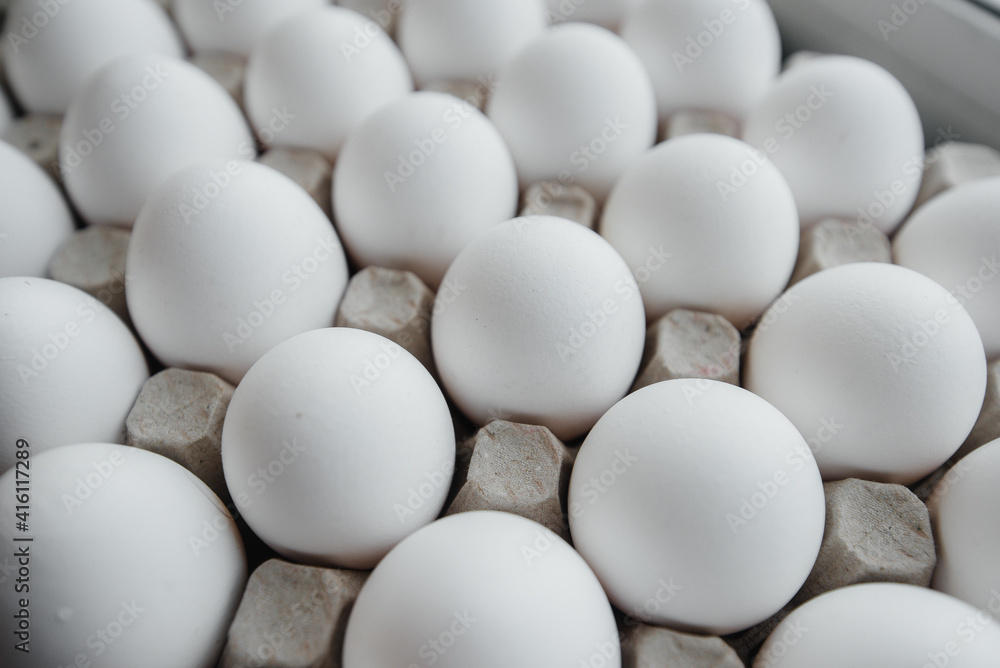 Tray of white fresh eggs close-up on a cardboard form. Agricultural industry Tray of white fresh eggs close-up on a cardboard form. Agricultural industry