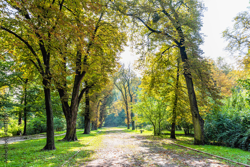 Fototapeta Naklejka Na Ścianę i Meble -  Lviv, Ukraine Ukrainian city old town with alley path in park during summer day to High Castle Hill and nobody with yellow foliage on trees