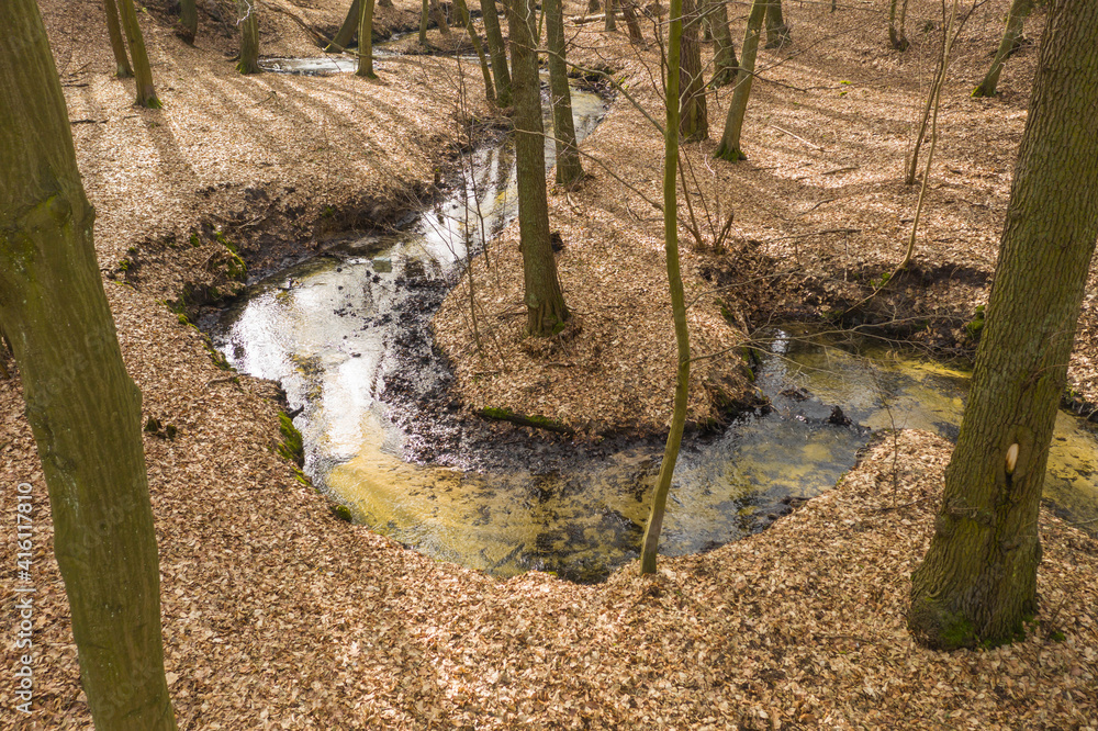 Leśny strumień płynący przez głęboki jar. - obrazy, fototapety, plakaty 