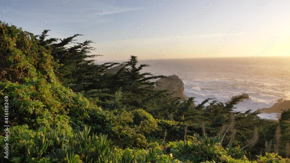Sunset at scenic Big Sur coast of pacific ocean with beautiful flowers and green plants Sunset at scenic Big Sur coast of pacific ocean with beautiful flowers and green plants