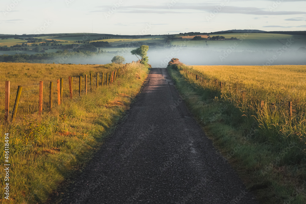 Countryside landscape in Stonehaven, Scotland of an old empty country road leading to a bank of misty fog and rolling hills with golden sunrise light.