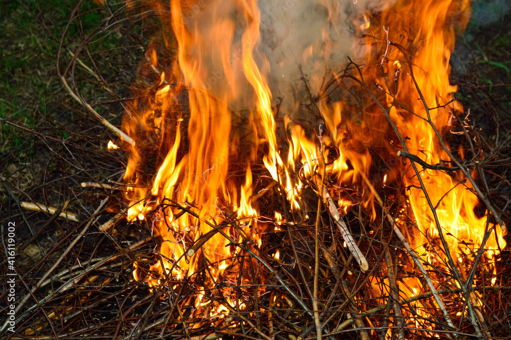steaming fire, tree branches burning in a bonfire steaming fire, tree branches burning in a bonfire