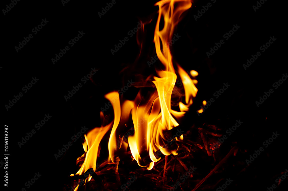 close-up - a small orange-yellow fire from a burning branch, different tongues of flame close-up - a small orange-yellow fire from a burning branch, different tongues of flame