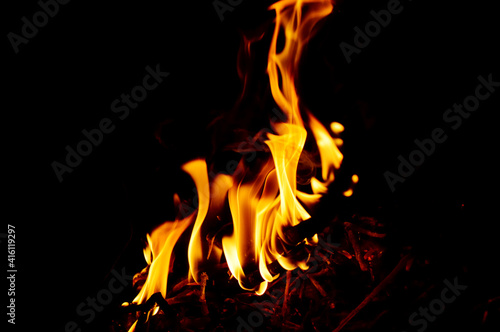 close-up - a small orange-yellow fire from a burning branch  different tongues of flame