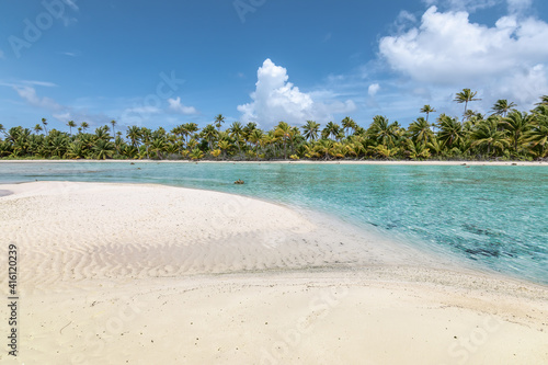 Tropical beach with palm trees.