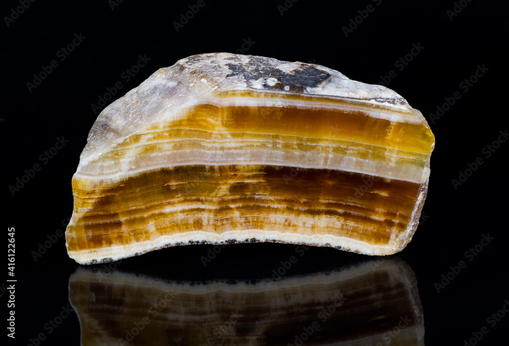 Cut polished aragonite gemstone with reflection on black background. Close-up of beautiful yellow, brown and white striped cross-section of mineral from Hridelec near Nova Paka in Czechia. Mineralogy. - obrazy, fototapety, plakaty 