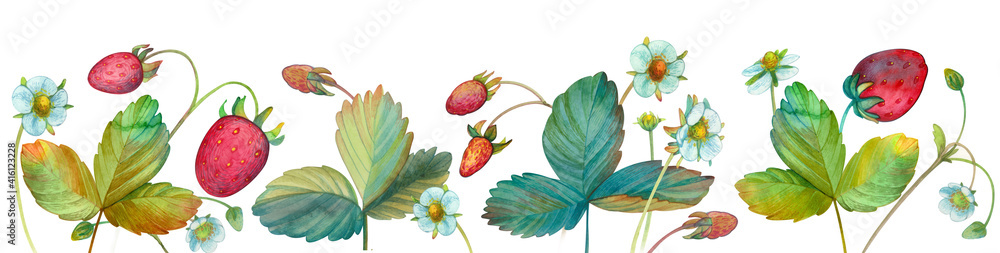 Obraz premium Watercolor border with strawberry berries, flowers and leaves of strawberry, strawberry isolated on a white background. Strawberry painted bed