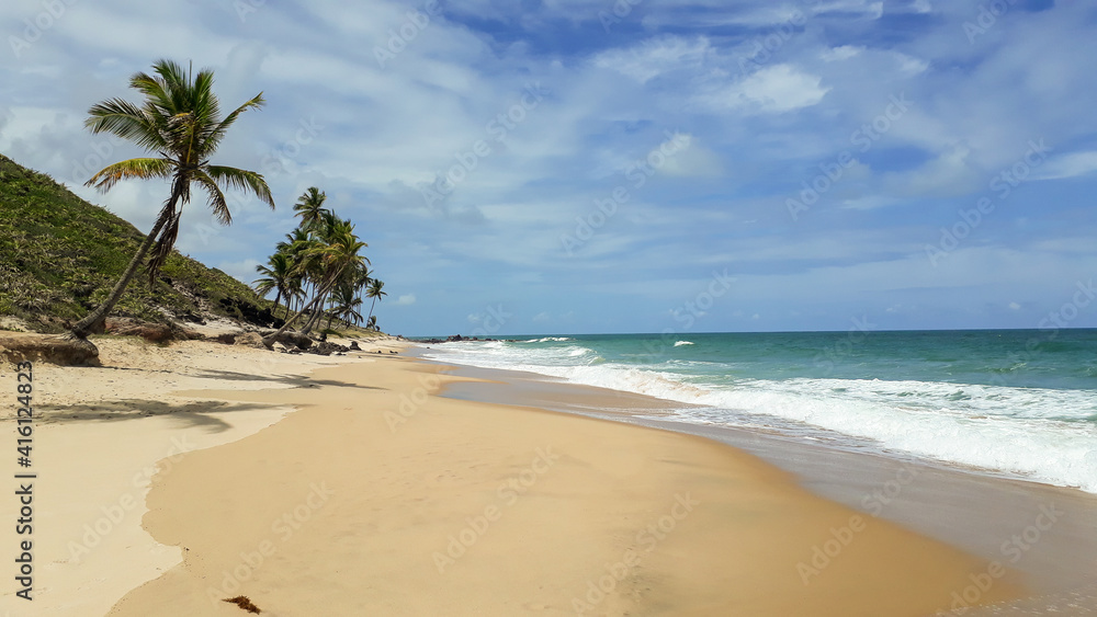 Empty paradisiac beach with coconut tree on sunny day