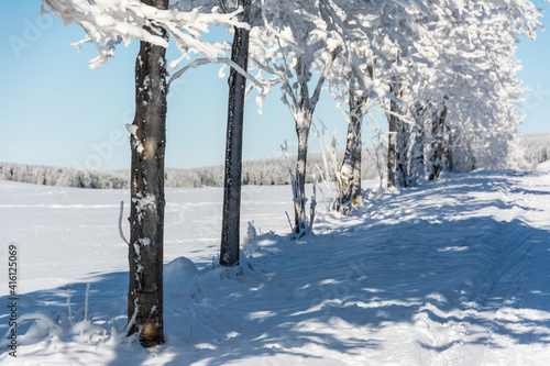 Fototapeta Naklejka Na Ścianę i Meble -  Winter Snow
