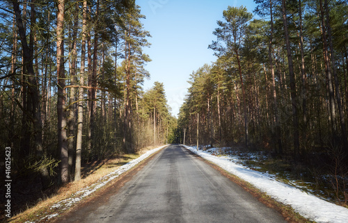 Asphalt road in forest on a sunny winter day.