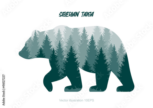 Siberian taiga vector illustration. Bear silhouette. Inside the forest landscape.