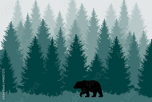 Walking bear in the coniferous forest. Taiga trees background. Foggy woodland illustration.