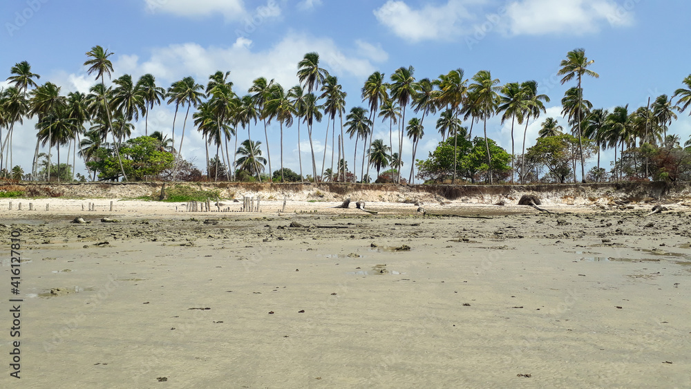 Paradise beach in low tide, sand bank and coconut trees Paradise beach in low tide, sand bank and coconut trees