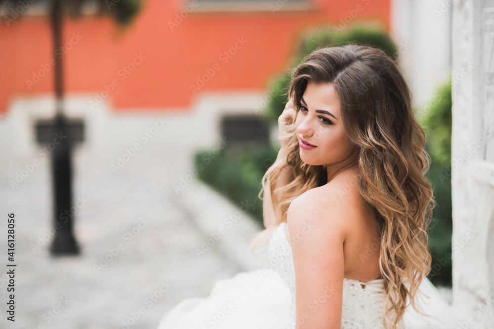 Beautiful luxury bride in elegant white dress Beautiful luxury bride in elegant white dress