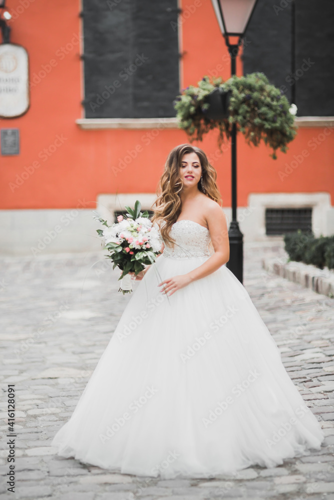Beautiful luxury bride in elegant white dress Beautiful luxury bride in elegant white dress