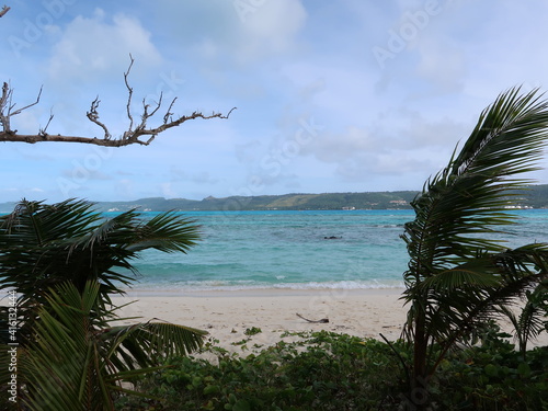 sunshine and beach in summer 