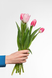 A man's hand with a bouquet of tulips on a light background.