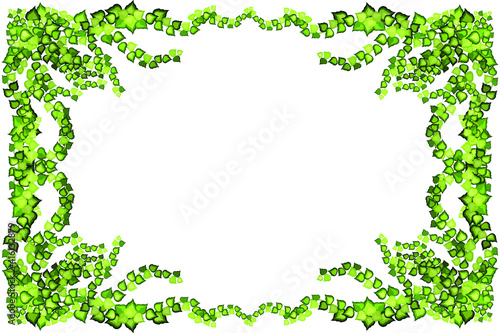 Frame of geen vine, liana or ivy hanging from above or climbing the wall.Decoration for garden or home.Template on white background.