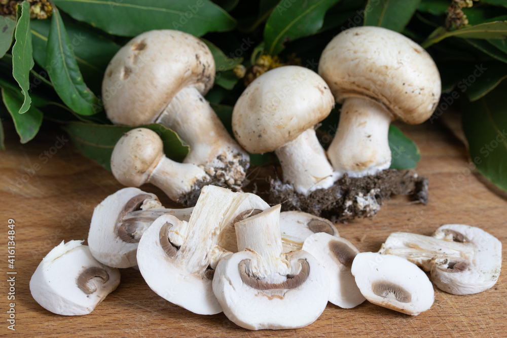 mushrooms on a wooden board mushrooms on a wooden board