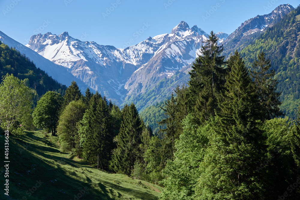 Berggipfel der Allgäuer Alpen im Morgenlicht