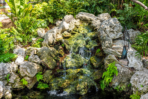 Small tropical home garden with green fern plants and waterfall with falling water on rocks and stones in Key West, Florida photo