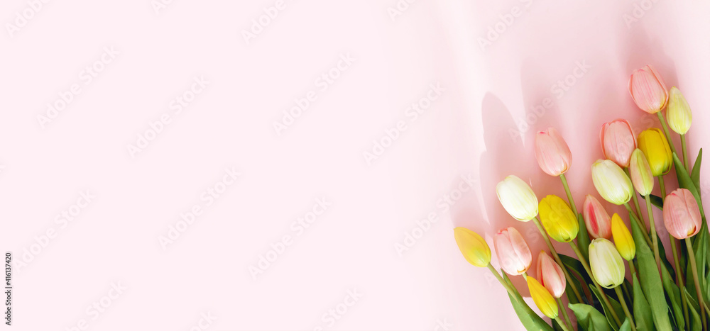 Bouquet of colorful tulips isolated on pink background. Spring flowers. Greeting card for Birthday, Woman 's Day,, Mother's Day, Valentine's day. Flat lay. Copy space. Banner