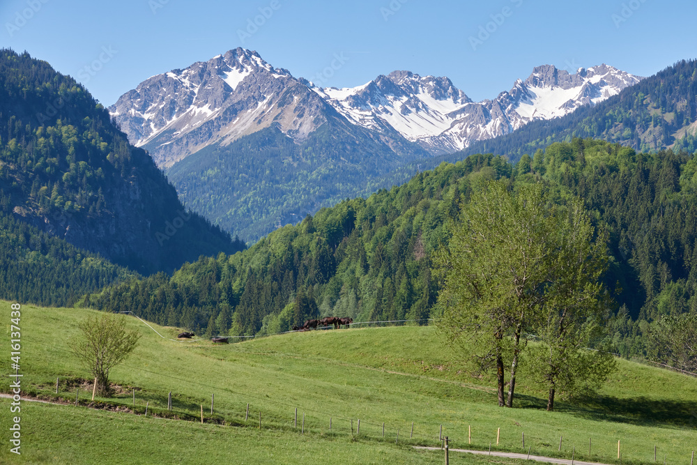 Blick vom Aussichtspunkt Hoffmannsruh auf Berggipfel des Allgäuer Alpenhauptkamms südlich von Oberstdorf