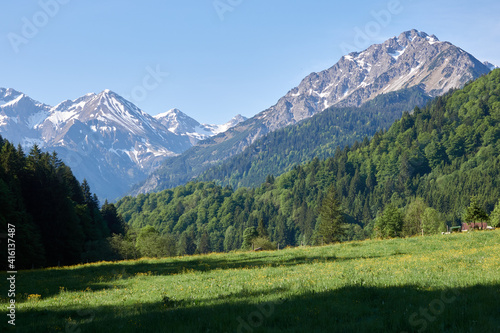 Blick vom Aussichtspunkt Hoffmannsruh auf Berggipfel des Allgäuer Alpenhauptkamms südlich von Oberstdorf © Michael Fritzen