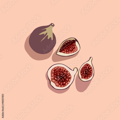 Fig vector art. Healthy food. Vector graphics. Can be used as wallpaper or work for patterns.