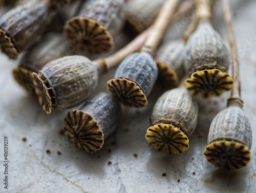 poppy seed capsules