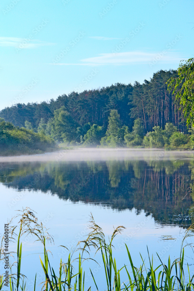 river is covered with fog at dawn. Forest is reflected in the river in summer