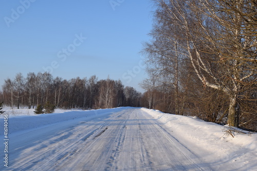 Road. Trees. Winter
