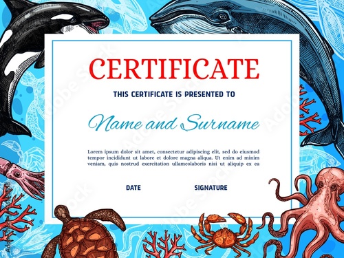 Certificate diploma award template, fishes in sea or ocean, vector background. Winner certificate diploma or voucher with blue waves, underwater and undersea, fishing achievement challenge honor frame