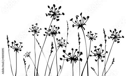 Herbal background with grass and flowers silhouettes. Spring or summer background.