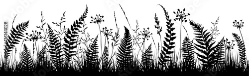 Background with fern leaf silhouettes and herbs. Floral background.