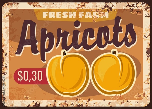 Fruit farm apricots harvest rusty metal plate. Ripe apricot or peach fruits hand drawn vector. Organic food farm retro banner, natural products market or shop price sign or signboard with rust texture
