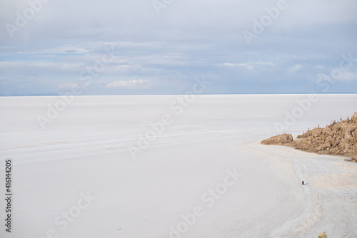 View of cactus covering Isla del Pescado (Isla Incahuasi) with the Uyuni Salt Flat in Bolivia.