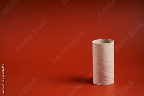 An empty cardboard toilet paper tube close up