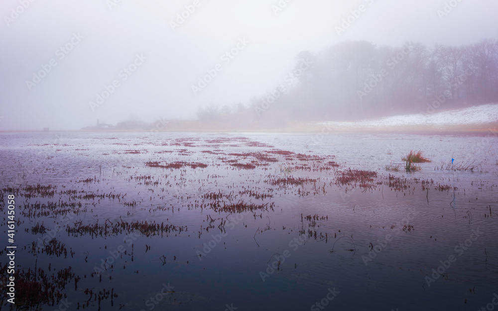 Foggy Landscape over the Flooded Cranberry Bog and Forest on Cape Cod, Massachusetts