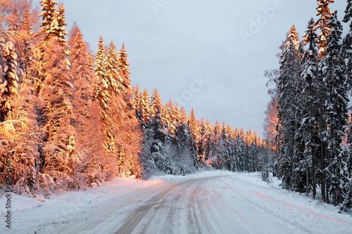 Sunset over snowy trees along countryroad in the north