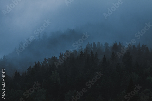 Foggy blues over tree-covered mountains in northern sweden