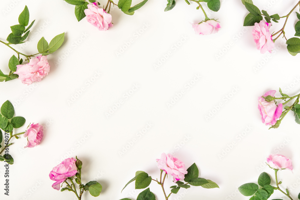 Border frame with pink roses on white background. Flat lay, top view. Floral background. Floral frame. Elements for design