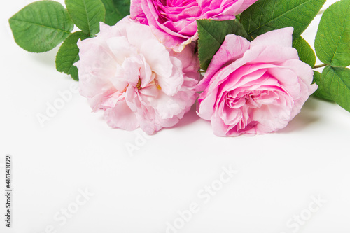 Bouquet of pink roses on white background. Flower background. Mothers Day,Wedding and Birthday concept. Copy space