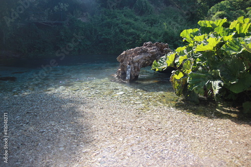 A transparent mountain river with a white stone bottom and lush greenery on shady banks. Felled old tree