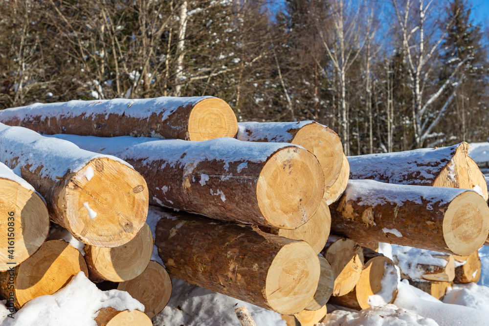 Pile of wood logs in the forest in winter. Wood industry. Pile of wood logs in the forest in winter. Wood industry.