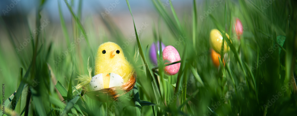 Fototapeta premium Easter. Cute little bird in the nest among the grass and colored eggs