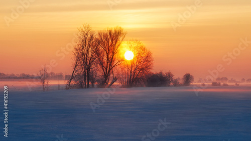 Winter rural landscape, Poland around Malbork, Sunrise
