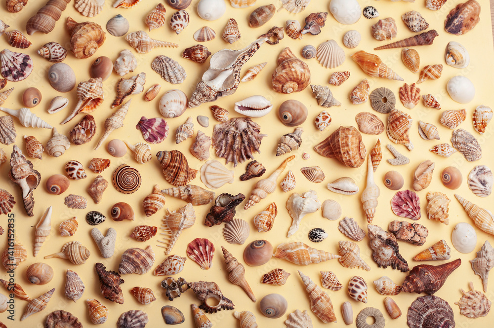 a lot of different empty sea shells on yellow background, macro details a lot of different empty sea shells on yellow background, macro details