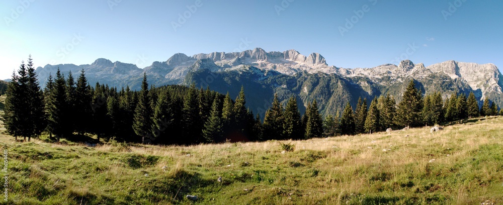 border ridge of the top of Kanin from a pasture on the slopes of Mount Jôf di Montasio in the Julian Alps in Italy